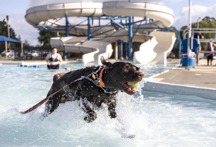 Pooch Paddle ends pool season in Sioux City but splash pads and slides