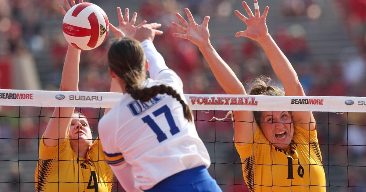 Wayne State volleyball falls at Elite Eight