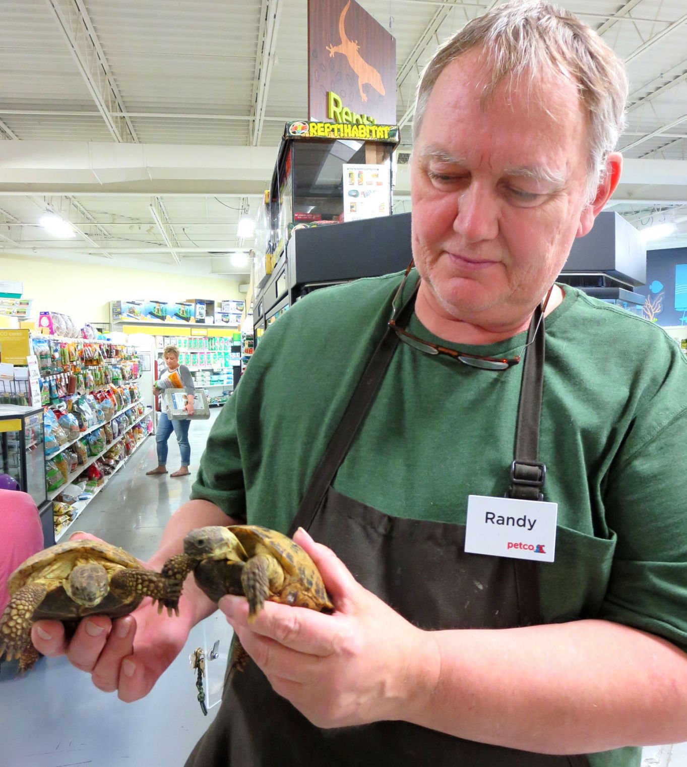 painted turtle for sale at petco