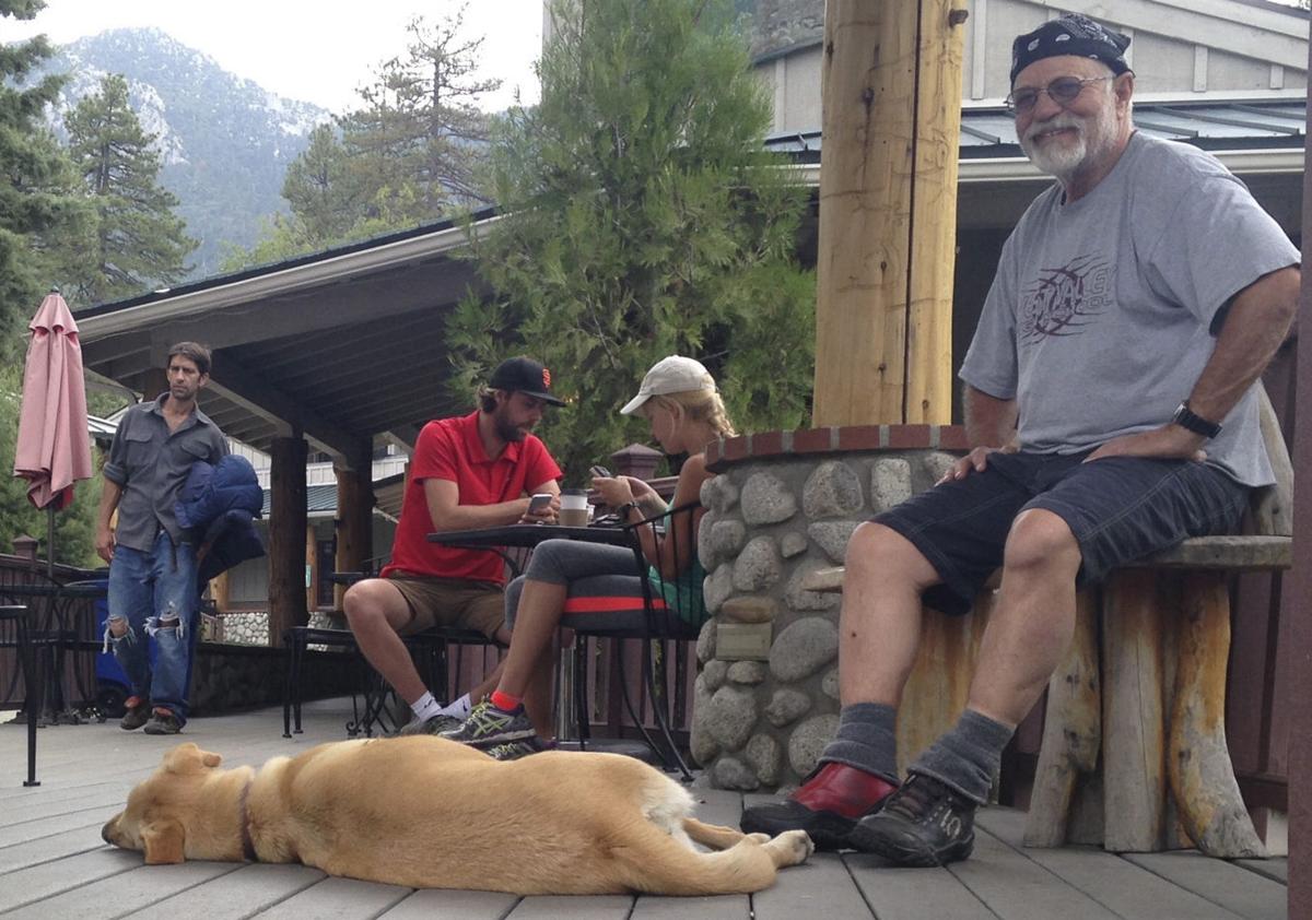 Idyllwild A Mountain Town That S Gone To The Dogs Pets Siouxcityjournal Com