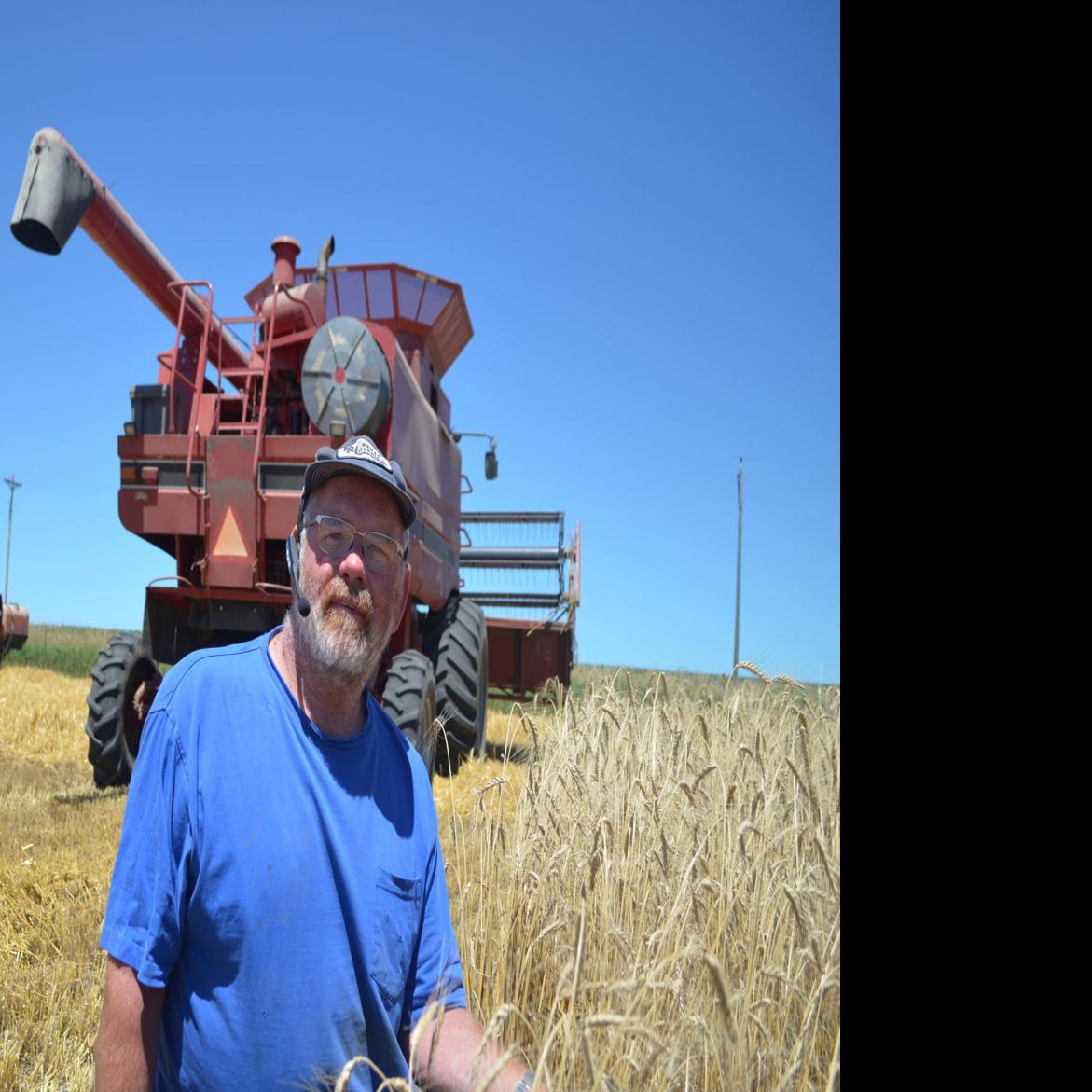 Hard Red Winter Wheat Rises And Falls For Sioux County Farmer
