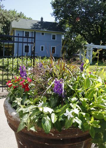 Latham Park