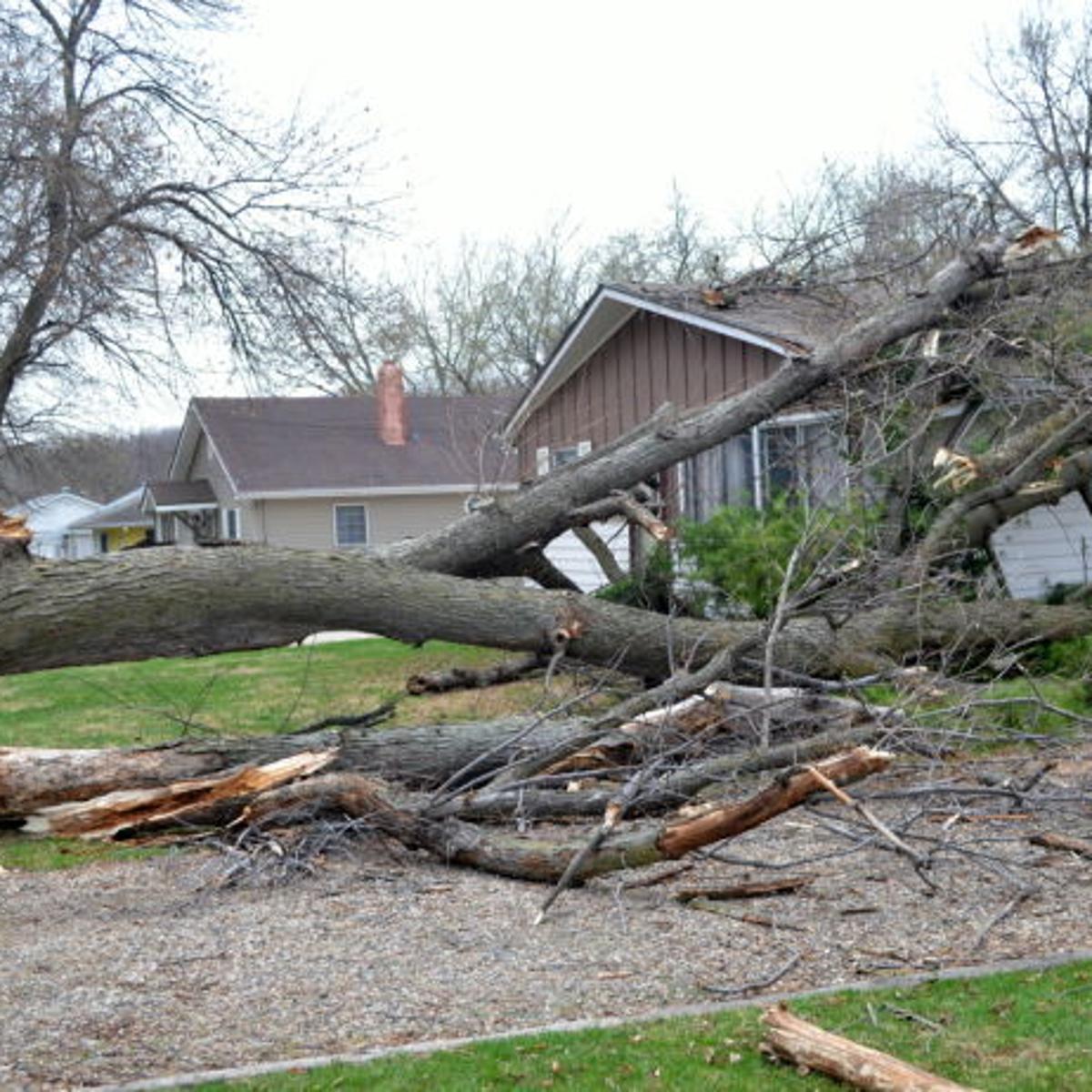 High Wind Gusts Down Power Lines In Sioux City Local News