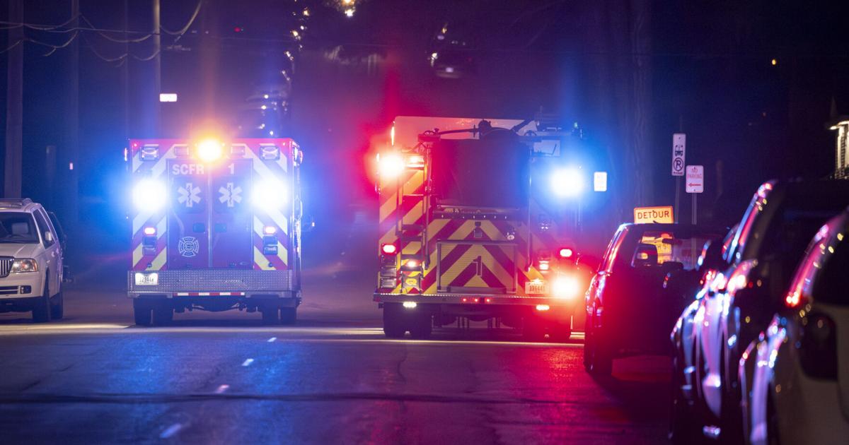 Dogs die in Storm Lake structure fire