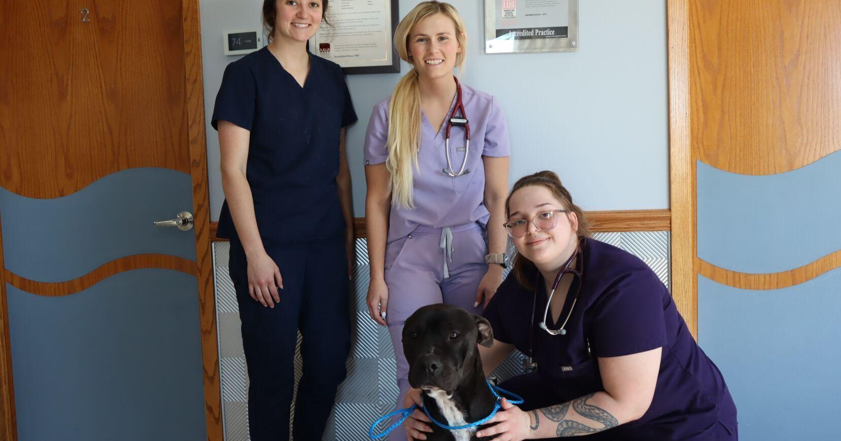 Columbus Small Animal Hospital saves paralyzed dog - Vimarsana News