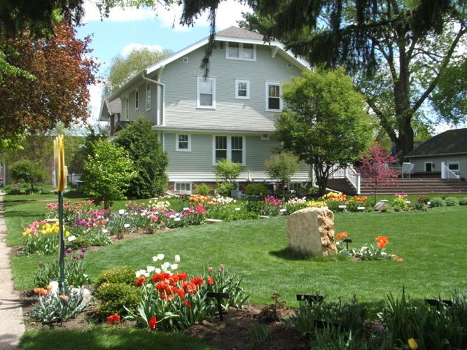 Tulip Town