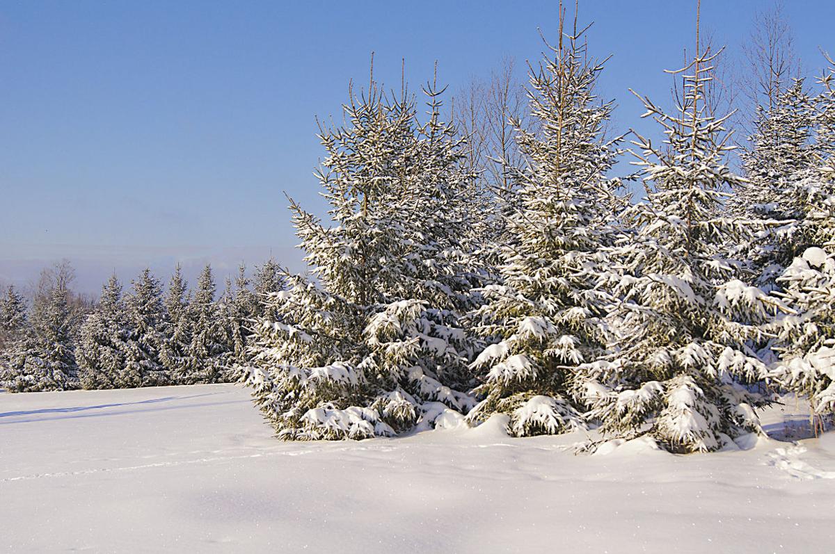 Weather snow