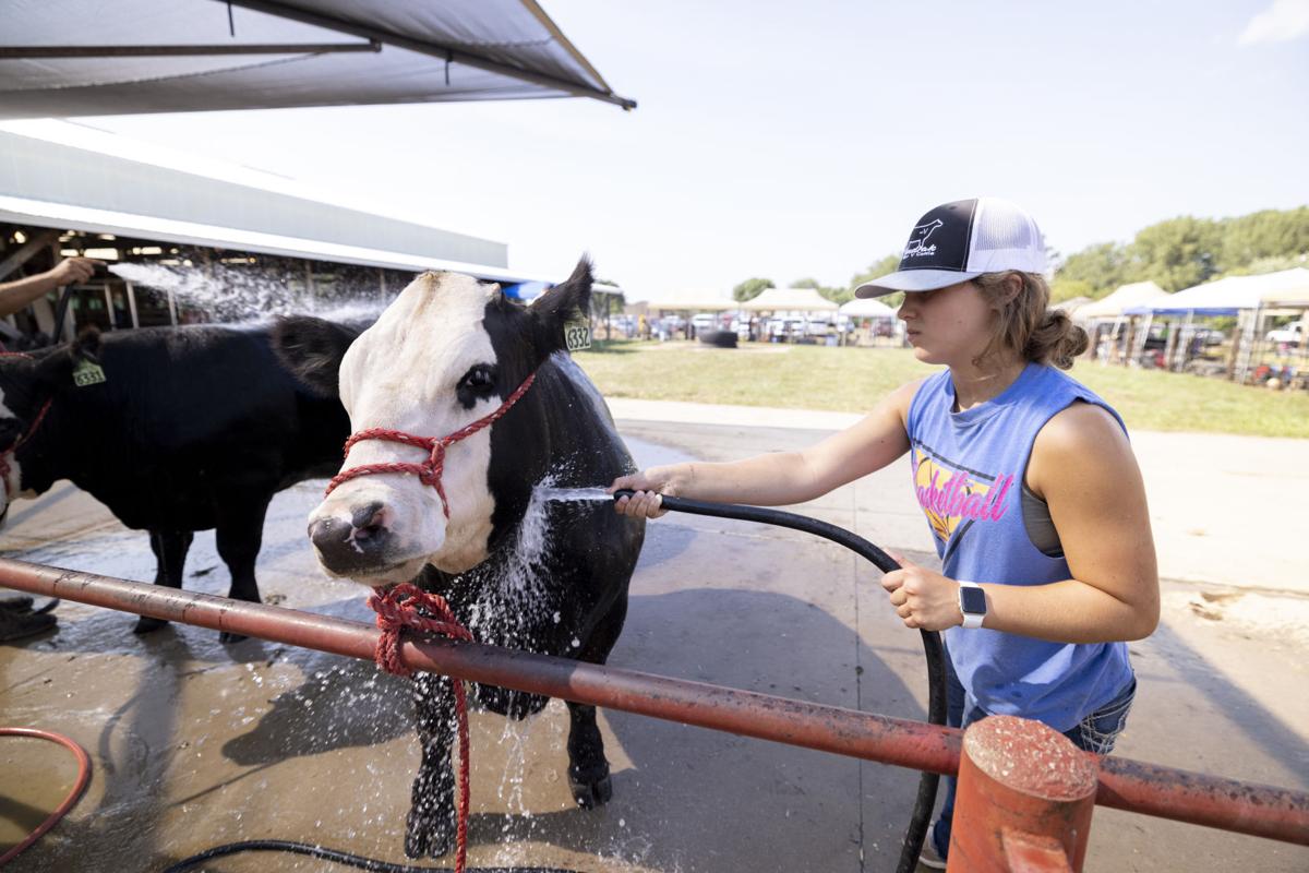 WATCH NOW Plymouth County Fair kicks off as heat index hits triple