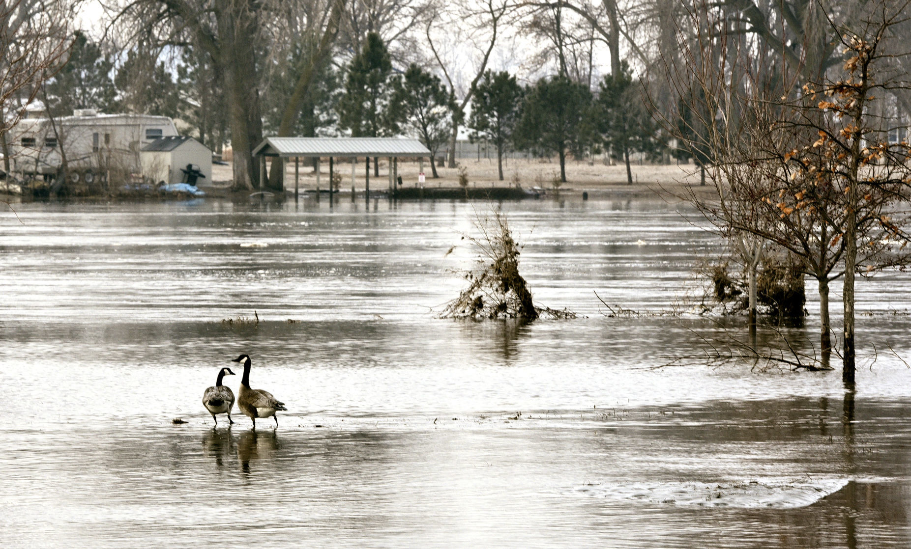 Photos High water flooding persists in Woodbury County