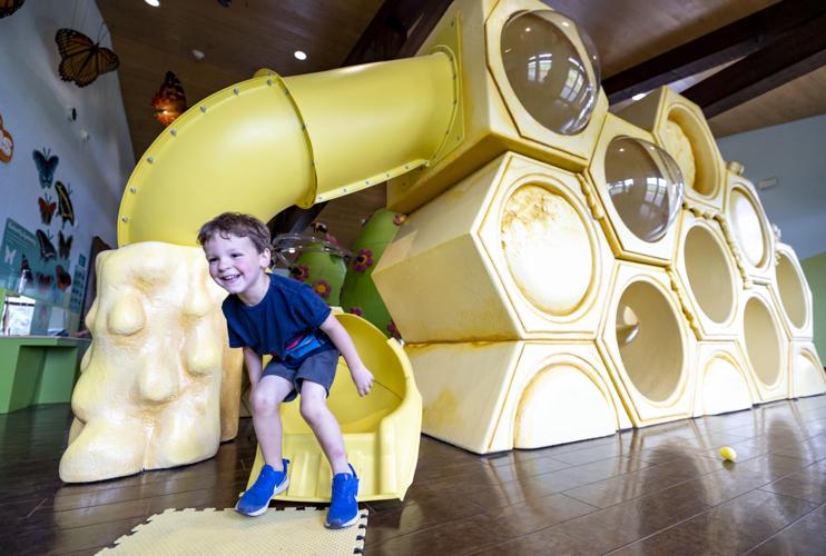 Dickinson County Nature Center bee exhibit