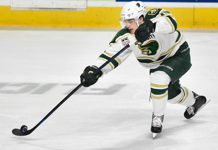 Hockey Fargo Force at Sioux City Musketeers