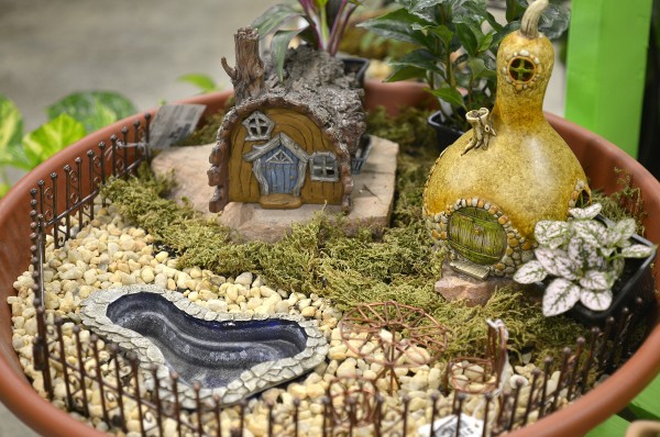 Tiny Treasures Fairy Gardens Provide An Indoor Forest Home And
