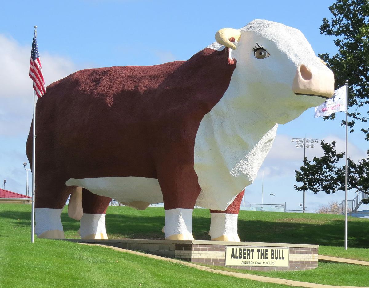 Albert the Bull