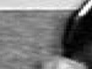 Max Alan Schrank Obituaries Siouxcityjournal Com