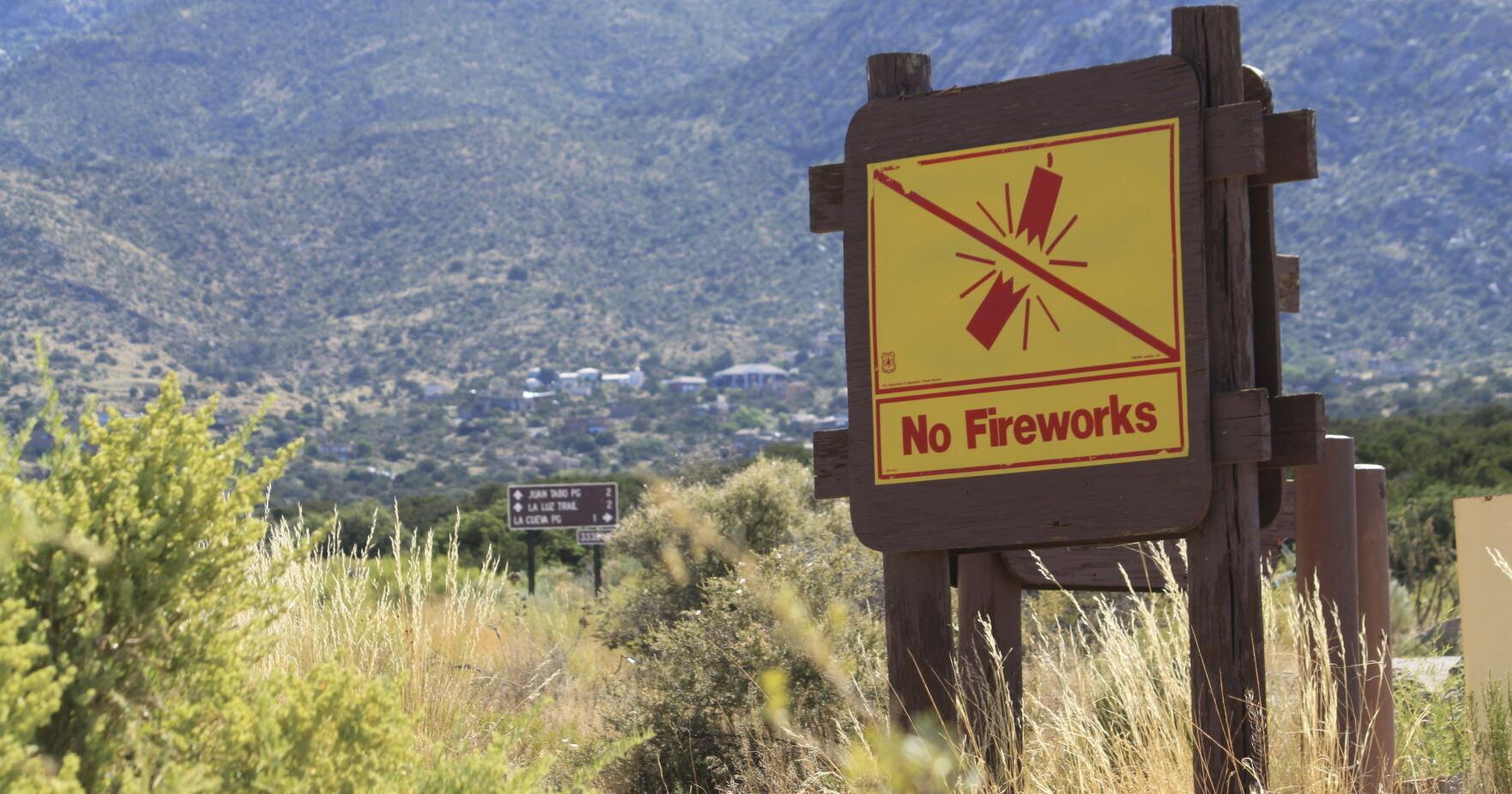 US forest managers urge revelers to swap fireworks for Silly String, but some say not so fast - Vimarsana News
