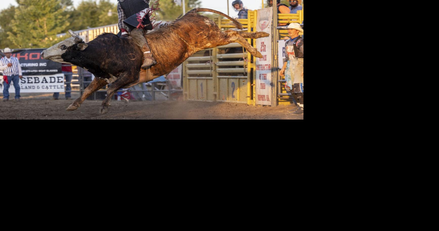 Photos: Extreme bull riding at the 2024 Dakota Thurston County Fair