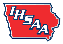 Boys high school swimming: Sioux City's Hoak turns in two top 3 finishes at state meet