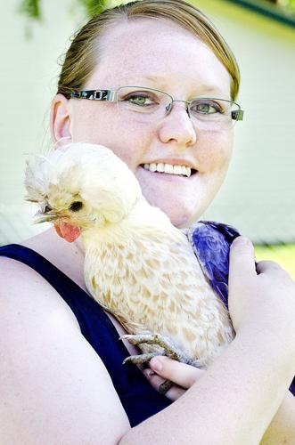 Backyard Chickens