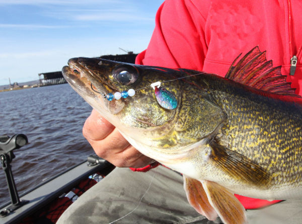 Ultimate Guide To Better Spinner Rigging for Walleyes
