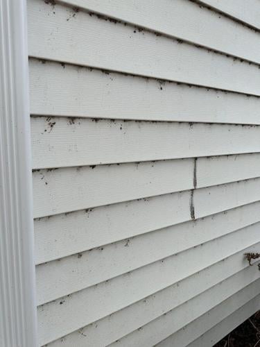 house siding before