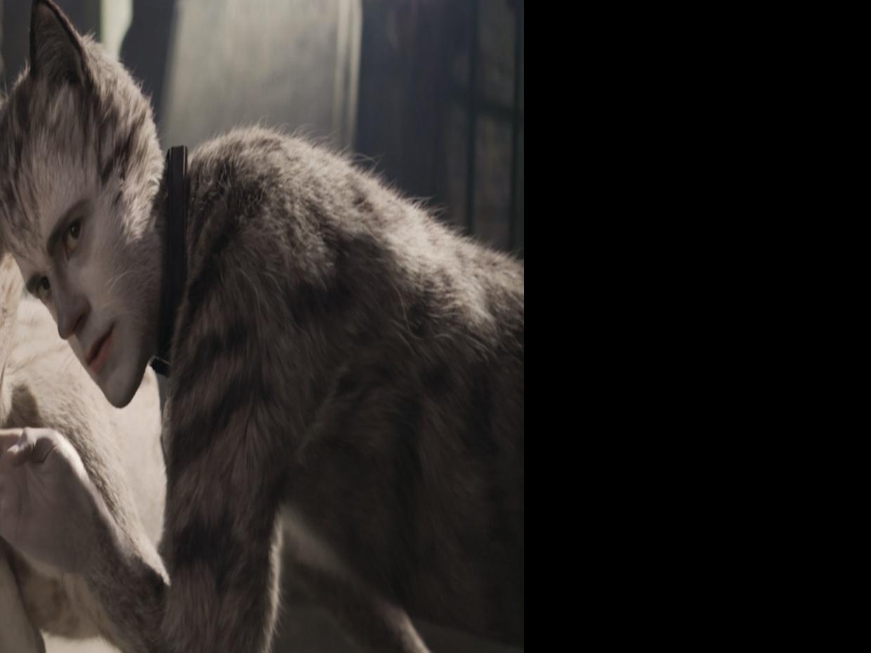 78++ Beautiful ghosts cats scene Best Cute Cat Photos