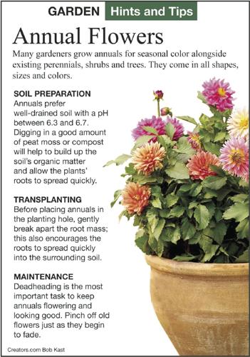 A Greener View: It's time for annual flower bed planting