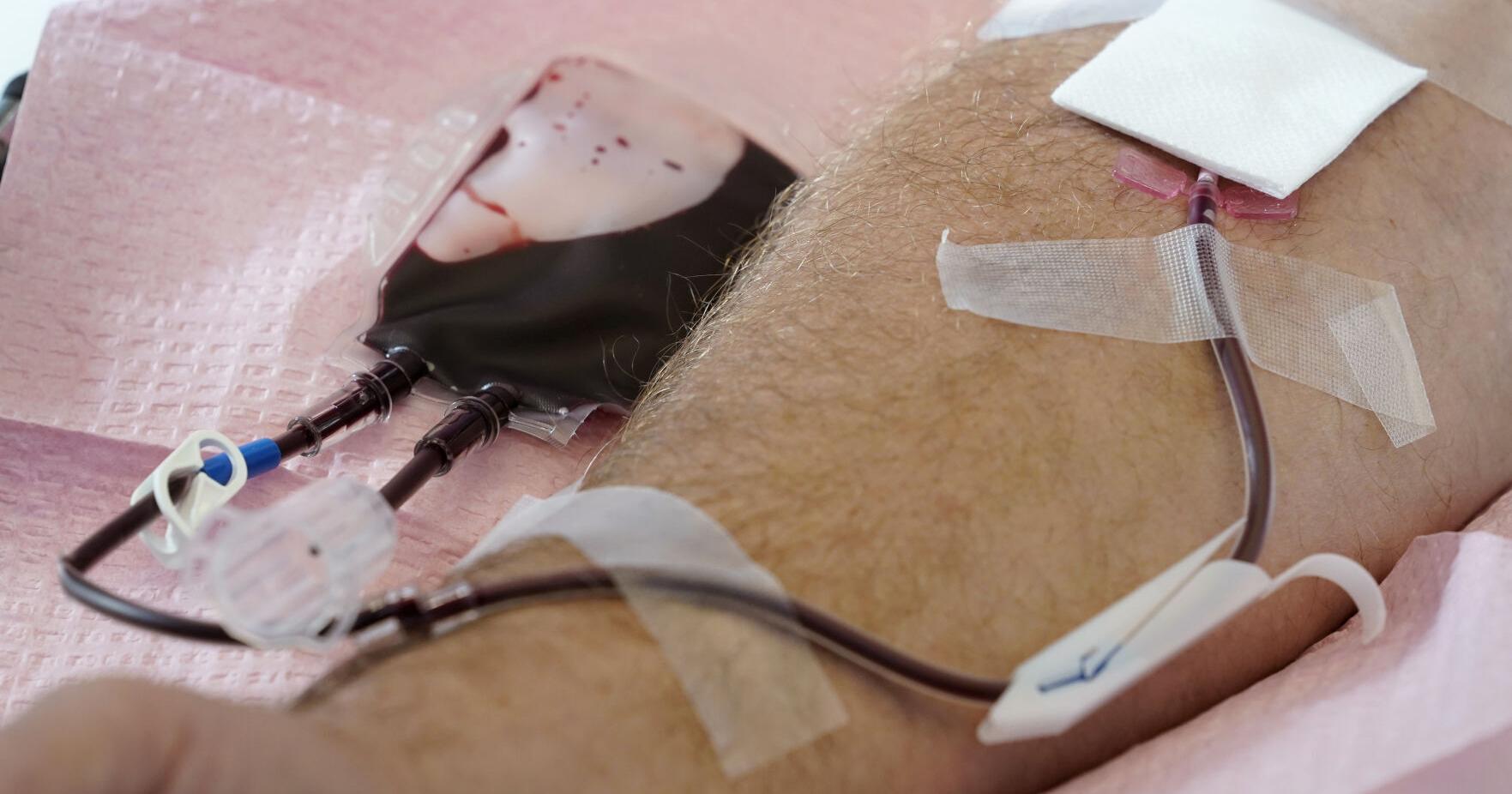 Proposal to require medical officials to honor requests for direct blood donations rejected - Vimarsana News