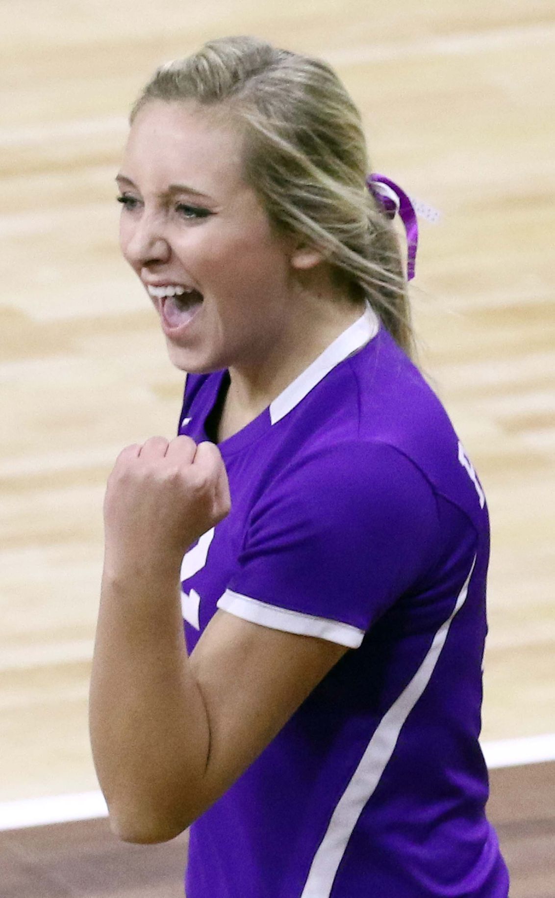 Photos Dakota Valley vs MobridgePollock South Dakota state volleyball 111915 Dakota Valley