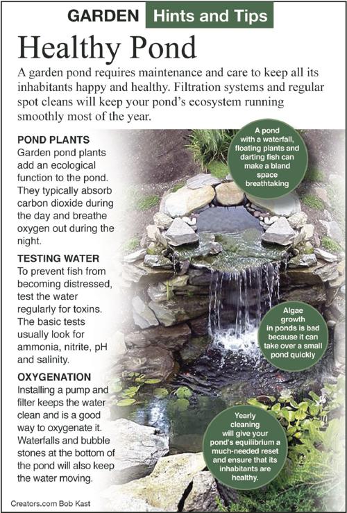 Pond Water Needs Depend On Style And Use Siouxland Homes