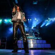hairball leather pants