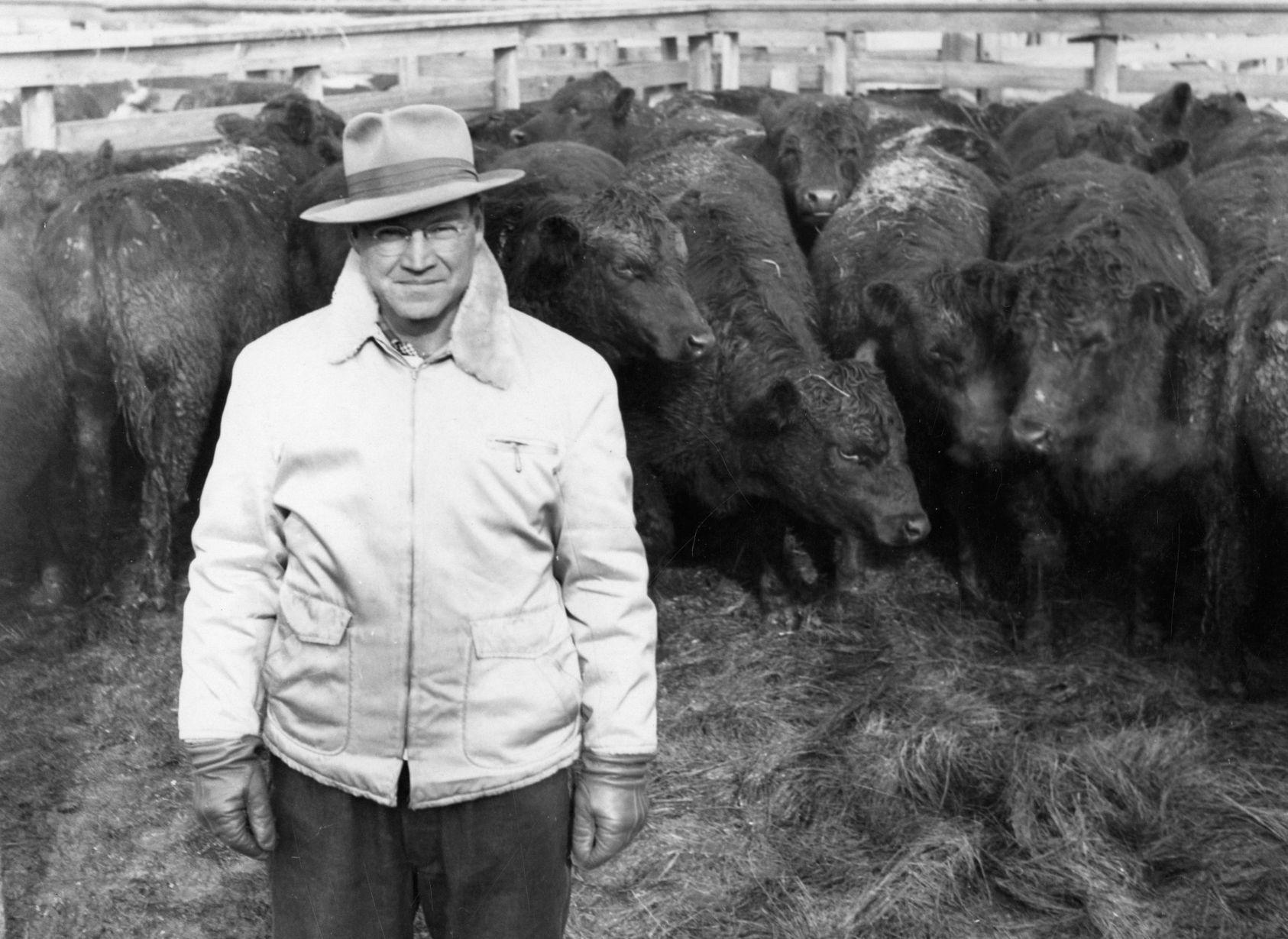 PHOTOS Sioux City stockyards through the years
