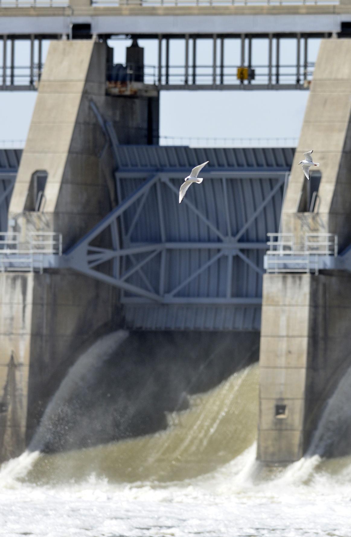 Gavins Point Dam water releases to drop Local news