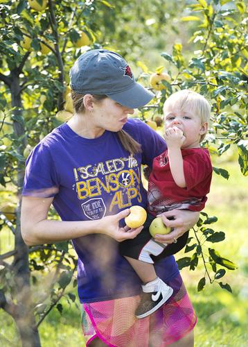 Trapple Orchard
