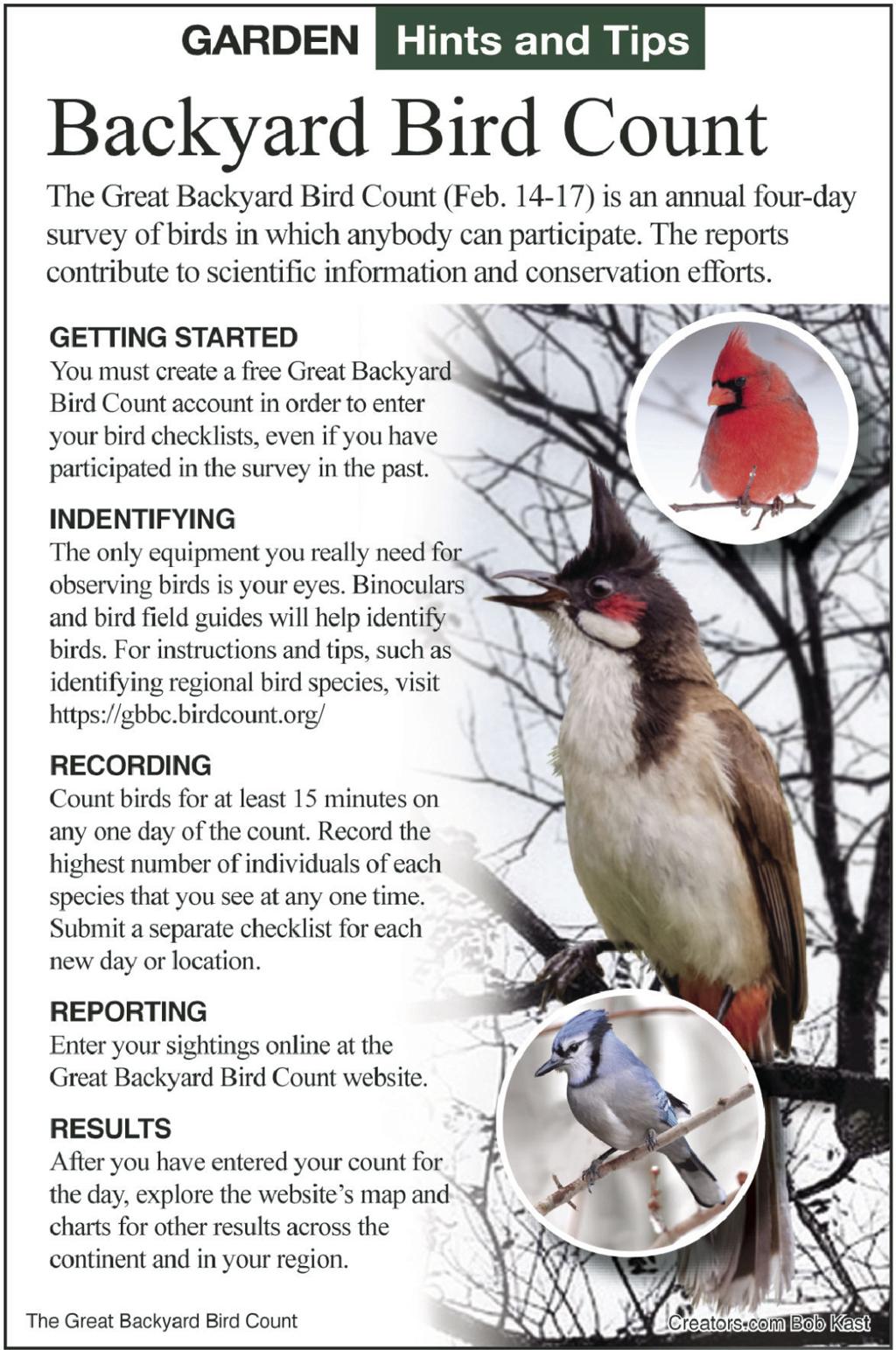 It S Time For The Backyard Bird Count Siouxland Homes