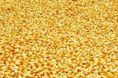 #39 Popcorn lung #39 case heard in Sioux City court