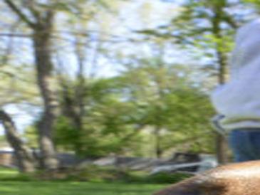 sioux city pit bull ban