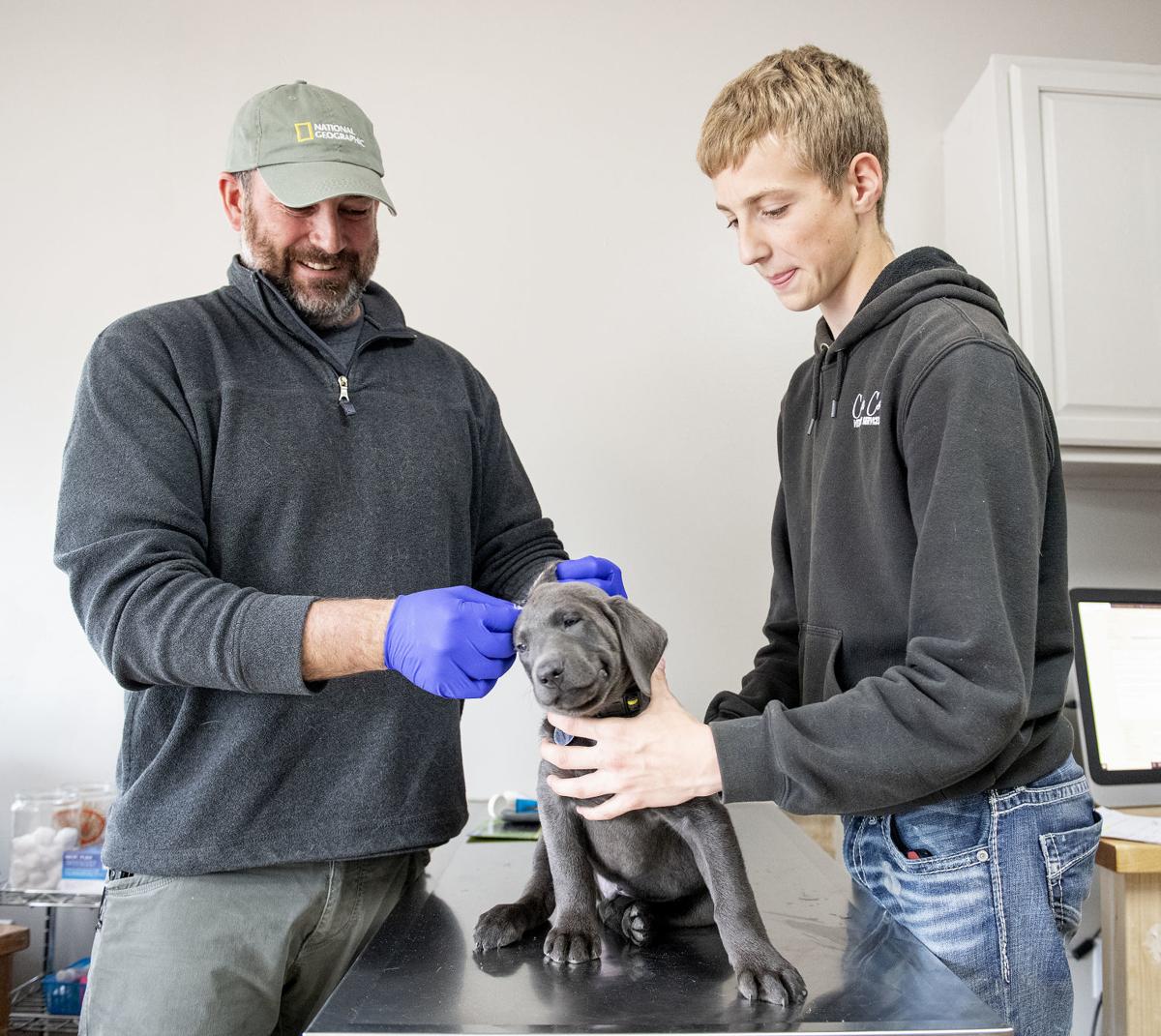 Hartington vets share stories with TV audience