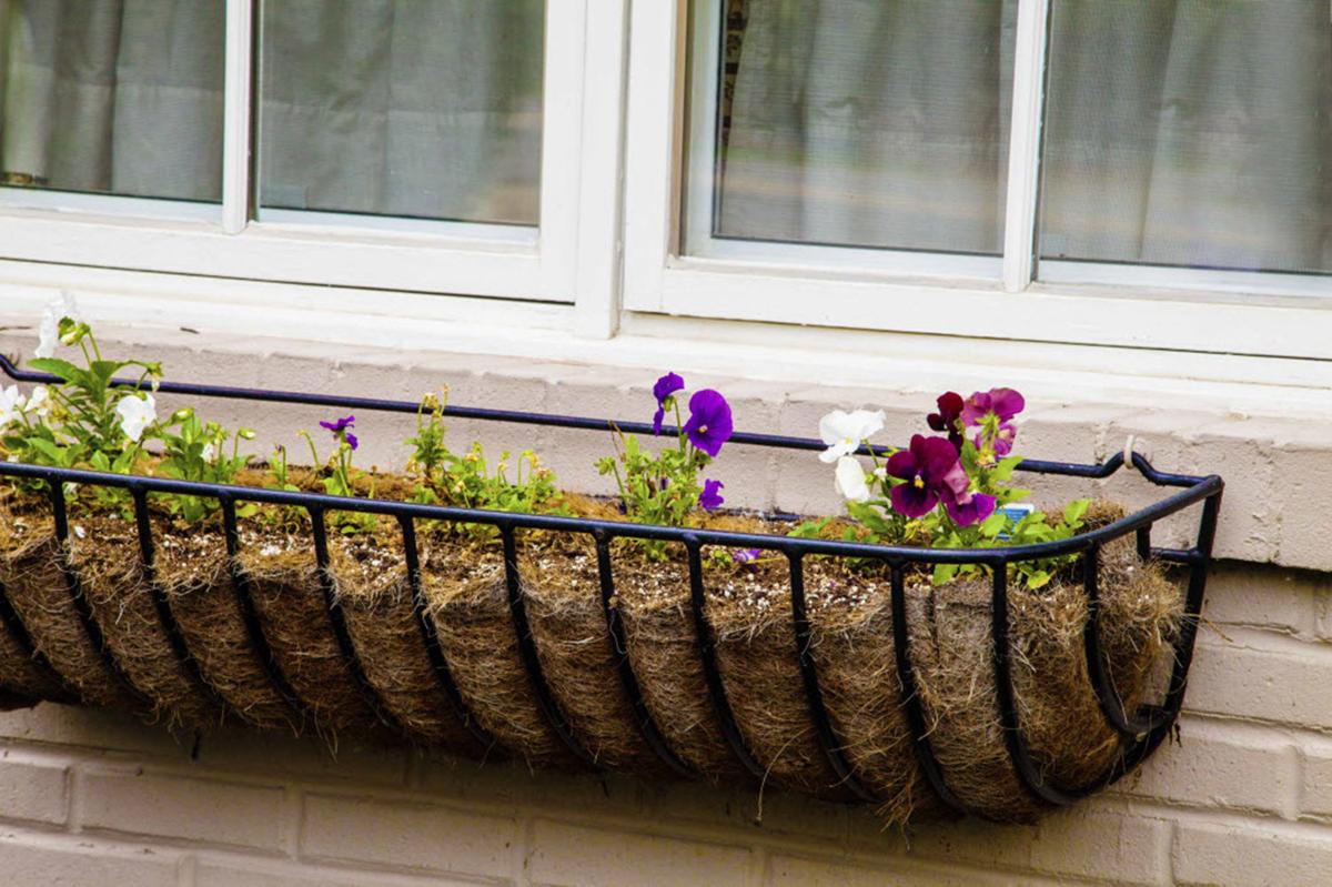 How much do storm windows cost?