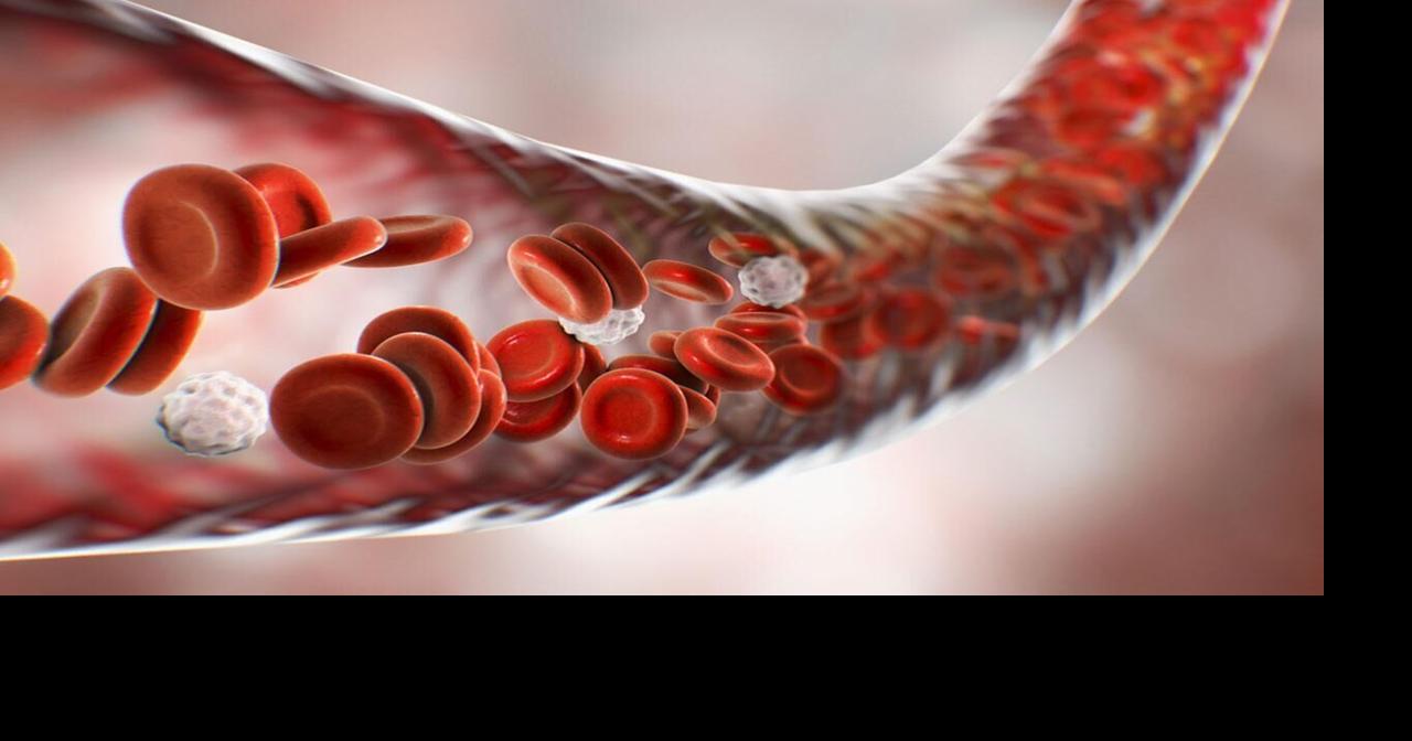 The 3 Best Nitric Oxide Booster Supplements For Men’s Wellness