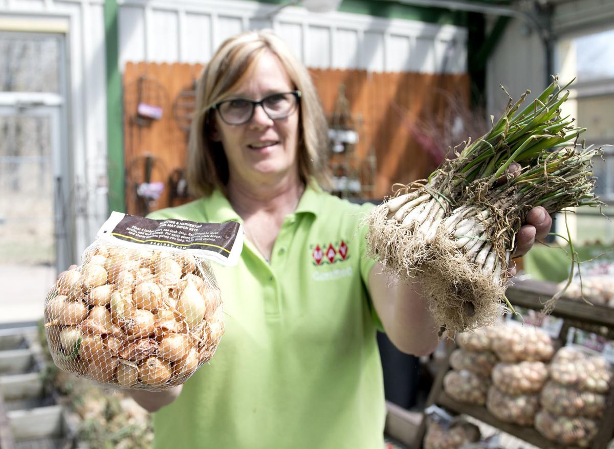 Earl May Sees Spike In Potato Onion Seed Sales Amid Covid 19