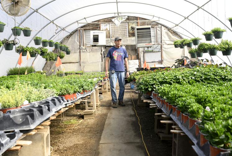 Green Acres Greenhouse