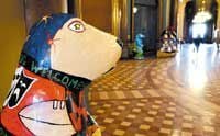 Downtown dog