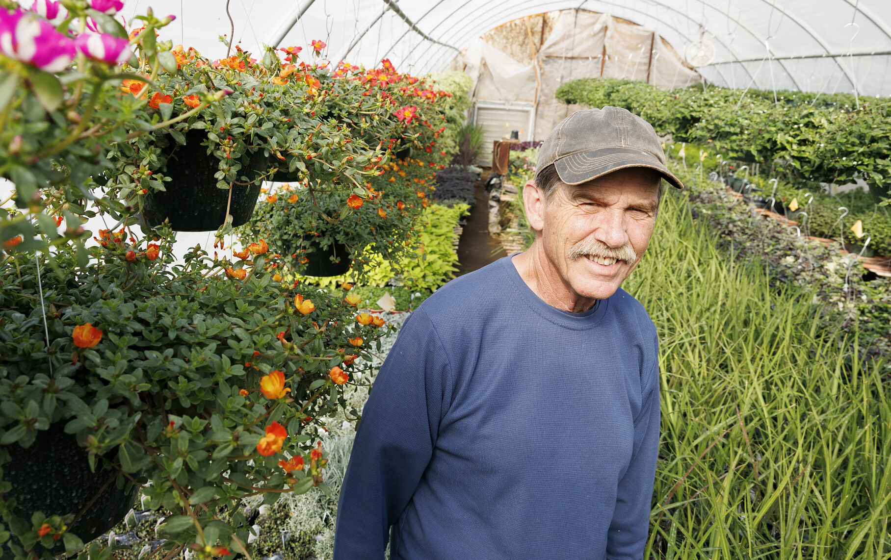 Varieties of plants abound at Smithland greenhouse