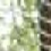 Creature Comfort News Siouxcityjournal Com