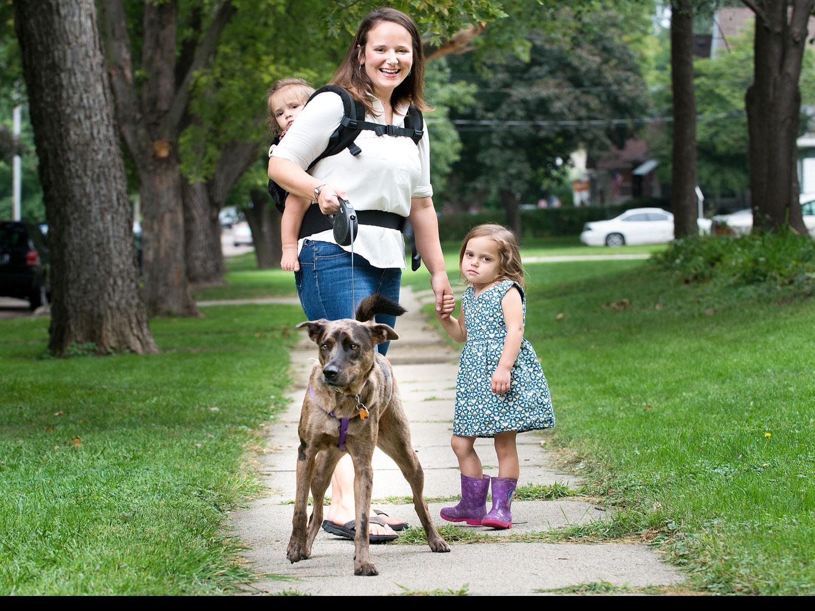 Dog Bite Reports Show Slight Uptick 8 Years After Pit Bull Ban Latest News Siouxcityjournal Com