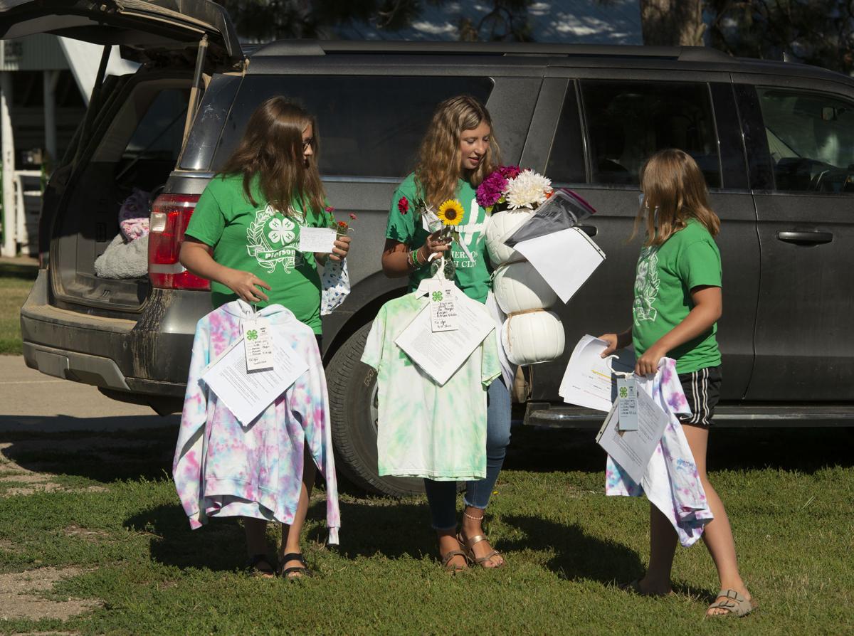 4H Expo fills Woodbury County Fair void