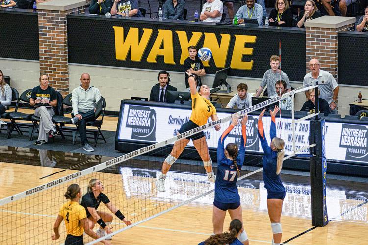 Balanced attack gives #2 Wildcats sweep at Minnesota Crookston