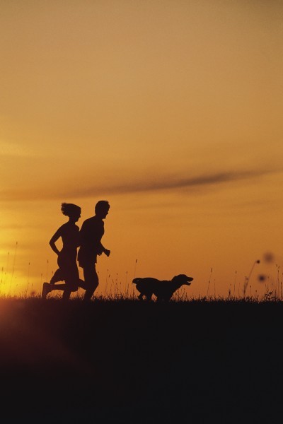 Running with pets