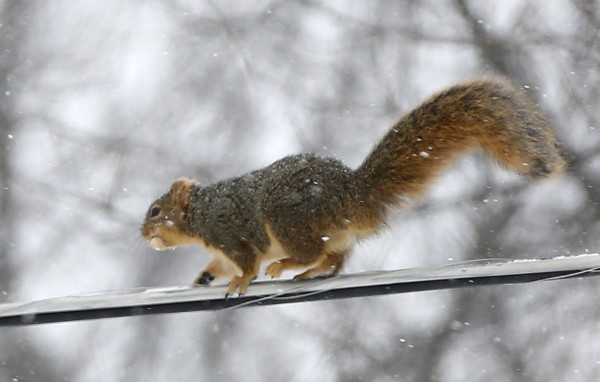 Snow December 27, 2012