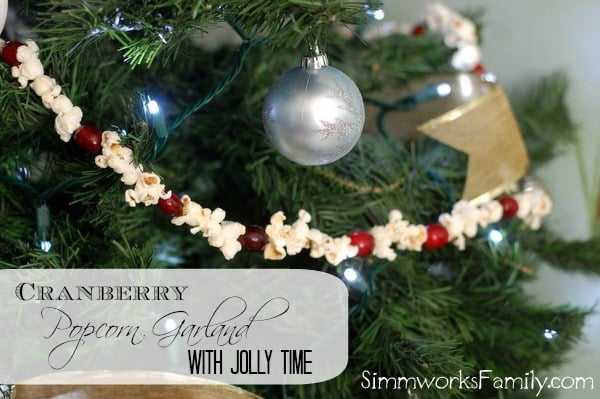 Popcorn Cranberry Garland